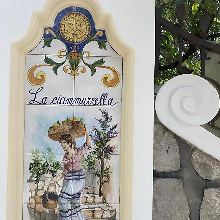 B&B La Ciammurrella Ανακάπρι Εξωτερικό φωτογραφία
