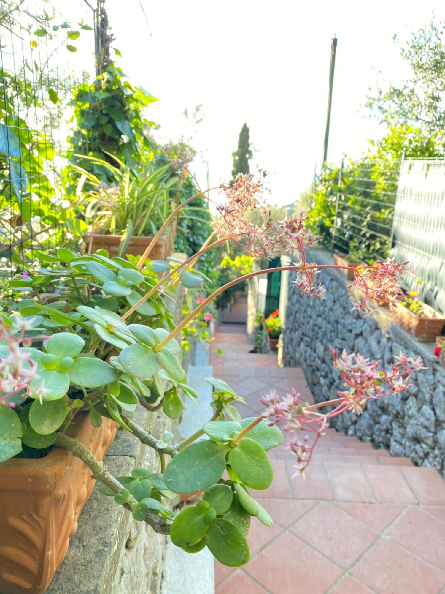 B&B La Ciammurrella Ανακάπρι Εξωτερικό φωτογραφία